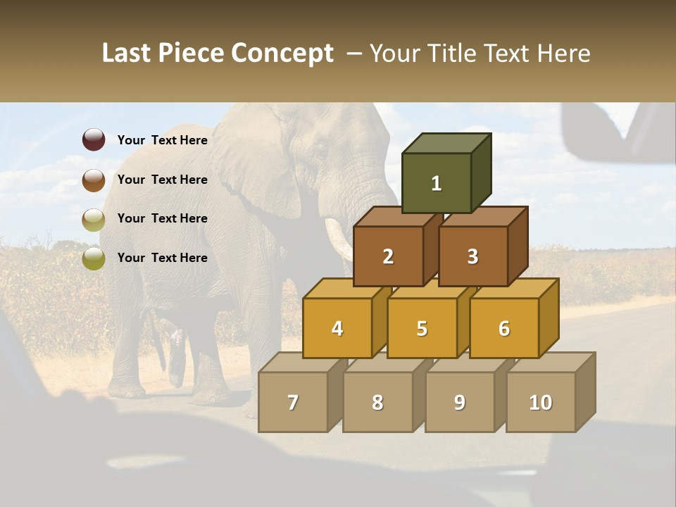 A Large Elephant Walking Across A Street Next To A Car PowerPoint Template