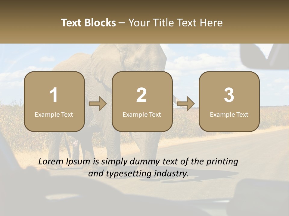 A Large Elephant Walking Across A Street Next To A Car PowerPoint Template