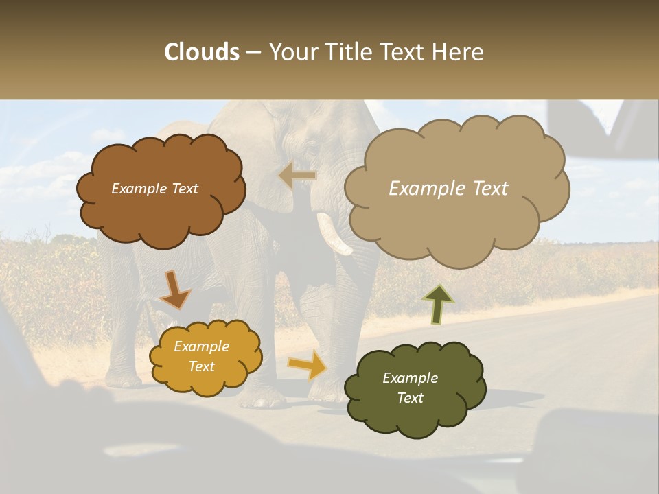 A Large Elephant Walking Across A Street Next To A Car PowerPoint Template