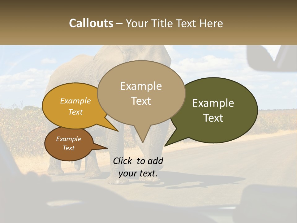 A Large Elephant Walking Across A Street Next To A Car PowerPoint Template