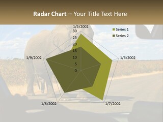 A Large Elephant Walking Across A Street Next To A Car PowerPoint Template