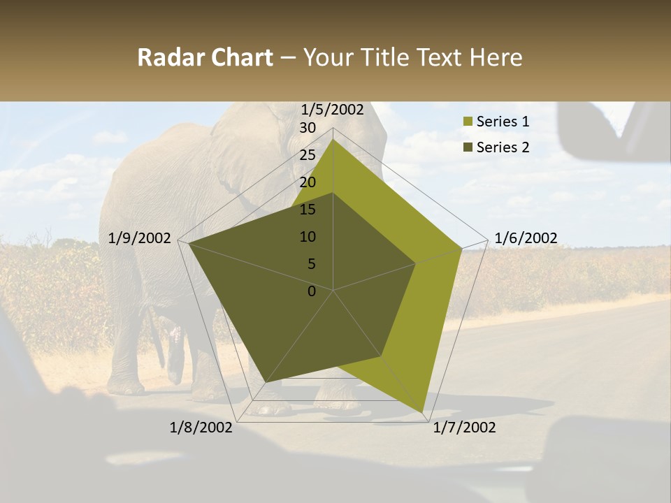 A Large Elephant Walking Across A Street Next To A Car PowerPoint Template