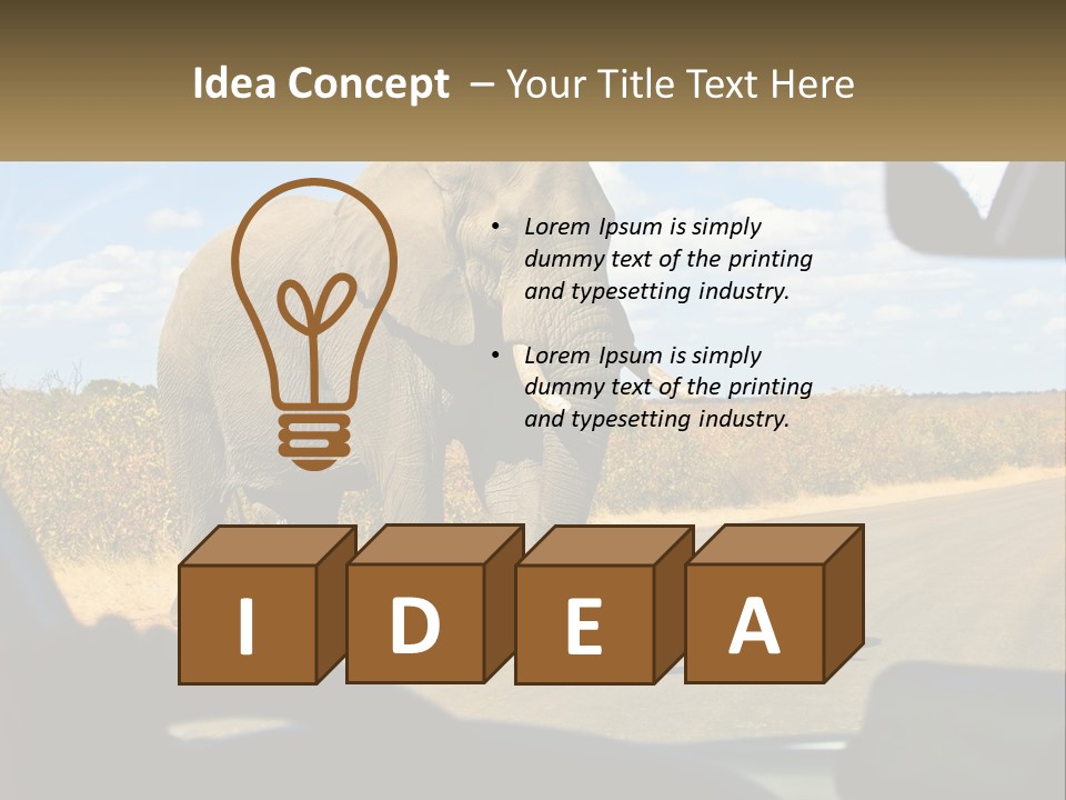 A Large Elephant Walking Across A Street Next To A Car PowerPoint Template