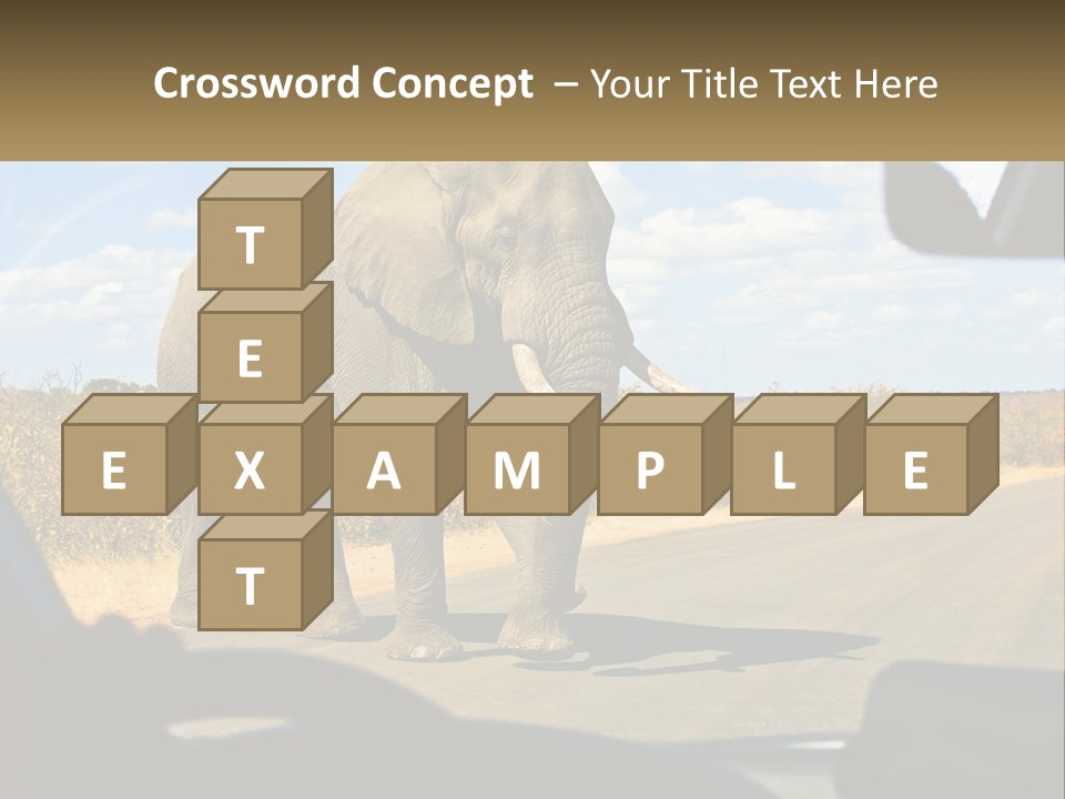 A Large Elephant Walking Across A Street Next To A Car PowerPoint Template