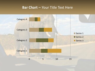 A Large Elephant Walking Across A Street Next To A Car PowerPoint Template