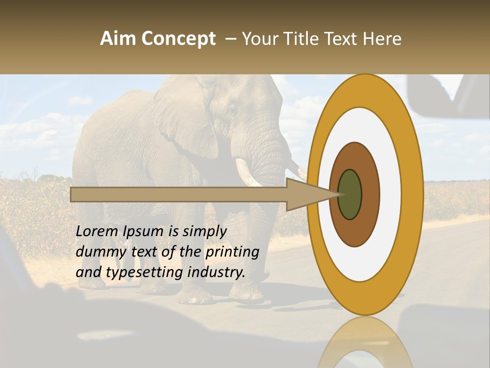 A Large Elephant Walking Across A Street Next To A Car PowerPoint Template