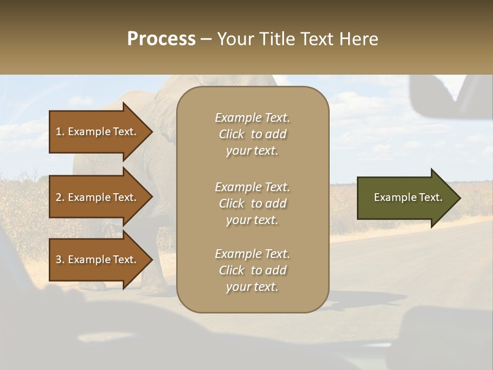 A Large Elephant Walking Across A Street Next To A Car PowerPoint Template