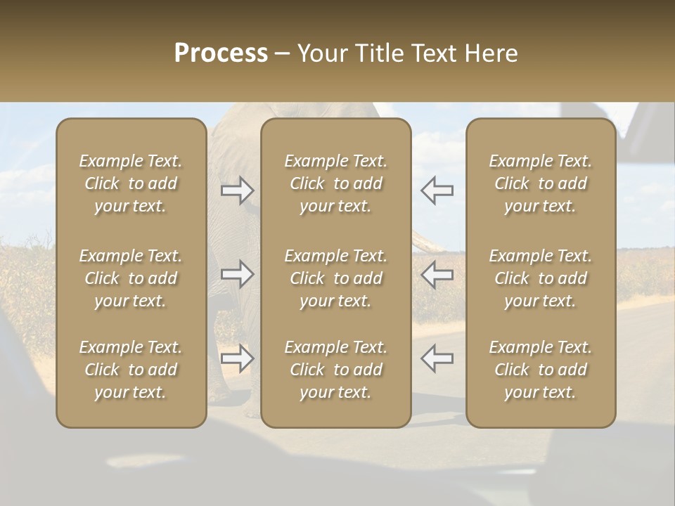 A Large Elephant Walking Across A Street Next To A Car PowerPoint Template