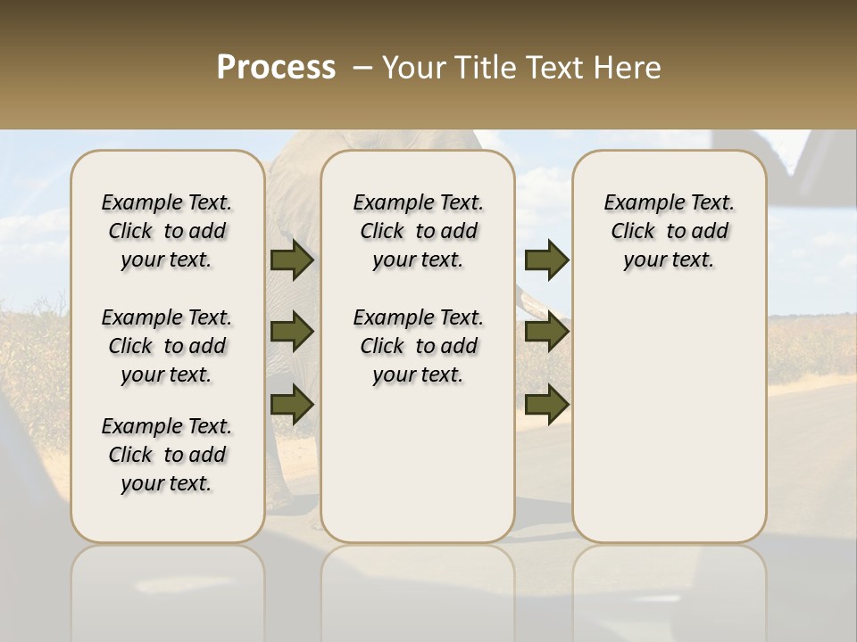 A Large Elephant Walking Across A Street Next To A Car PowerPoint Template