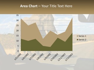 A Large Elephant Walking Across A Street Next To A Car PowerPoint Template
