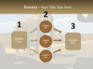 A Large Elephant Walking Across A Street Next To A Car PowerPoint Template
