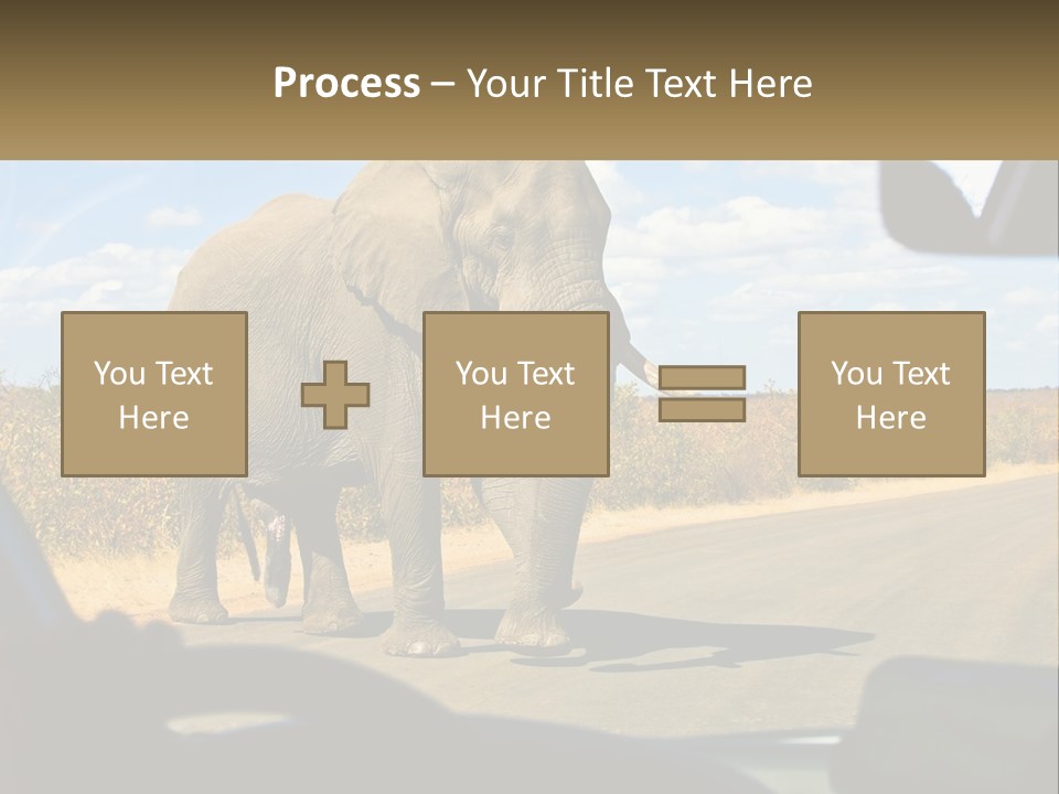 A Large Elephant Walking Across A Street Next To A Car PowerPoint Template