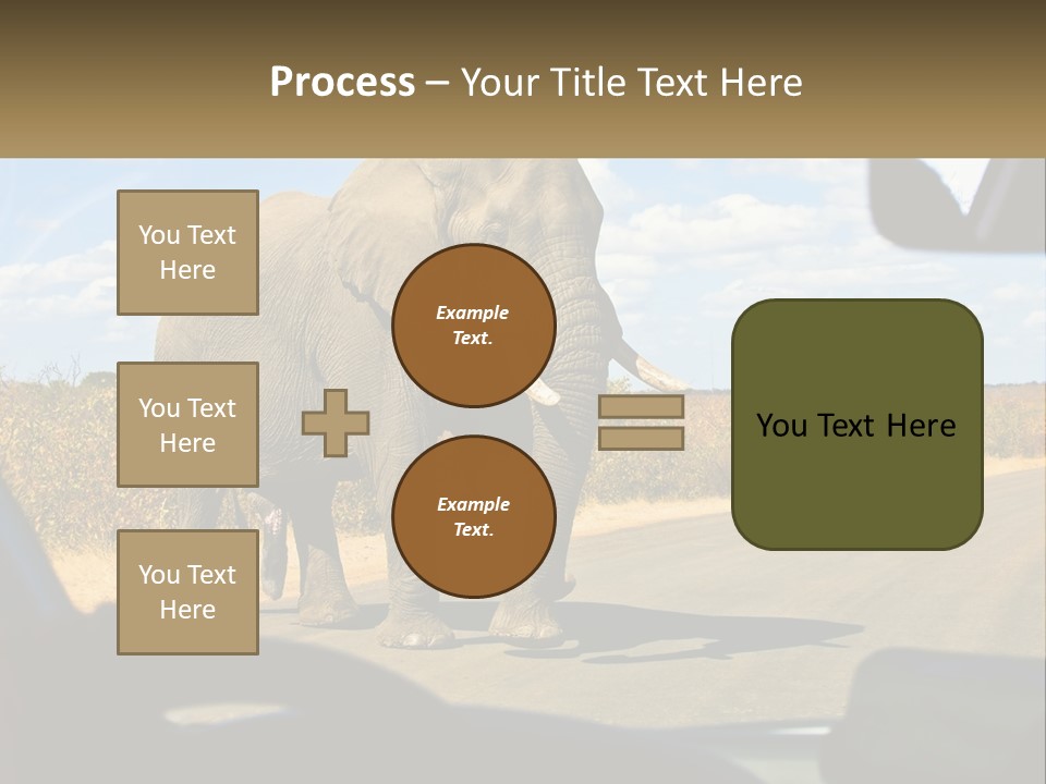 A Large Elephant Walking Across A Street Next To A Car PowerPoint Template