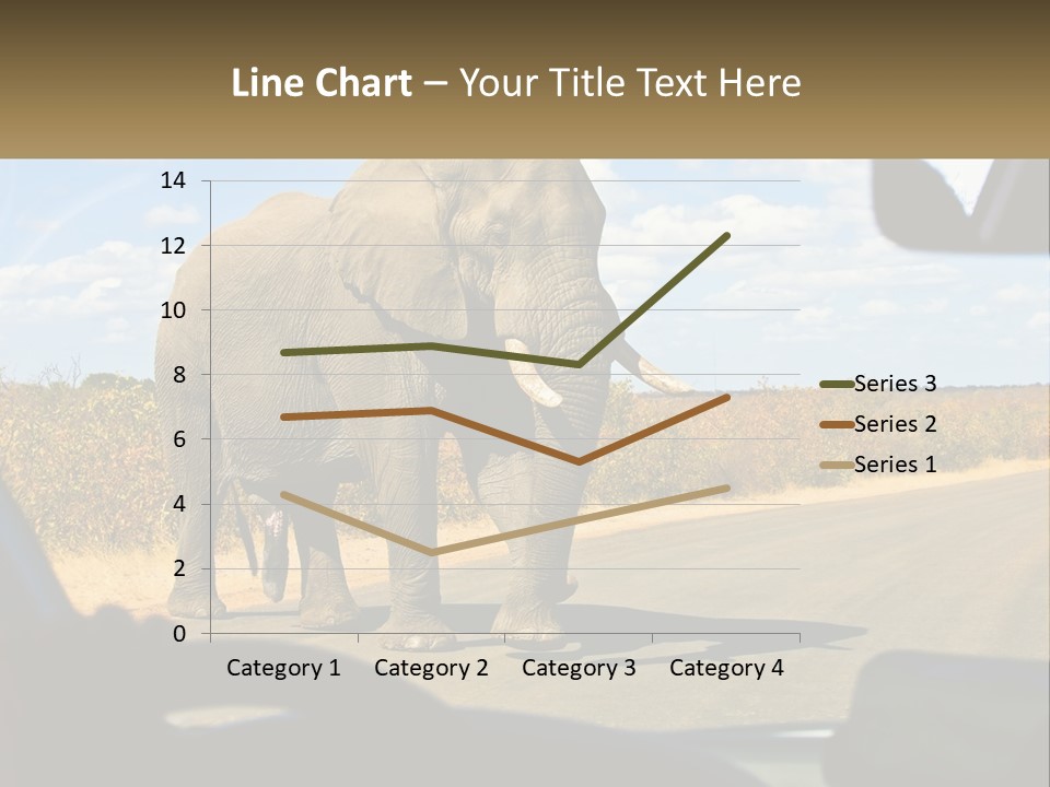 A Large Elephant Walking Across A Street Next To A Car PowerPoint Template