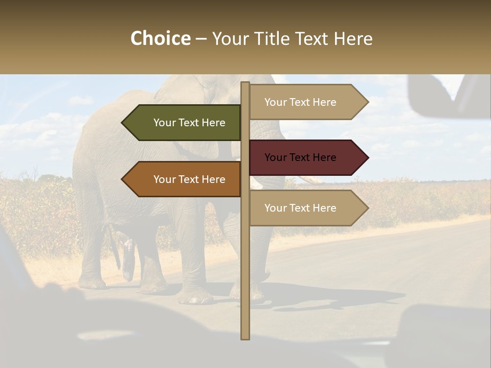 A Large Elephant Walking Across A Street Next To A Car PowerPoint Template