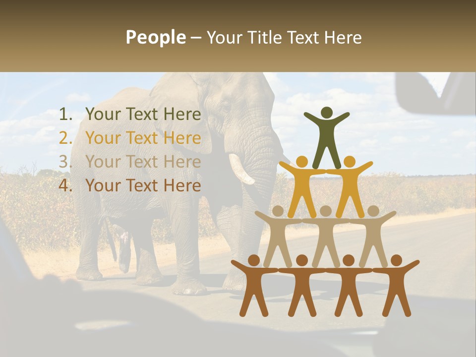 A Large Elephant Walking Across A Street Next To A Car PowerPoint Template