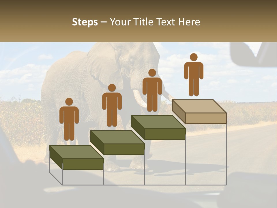 A Large Elephant Walking Across A Street Next To A Car PowerPoint Template