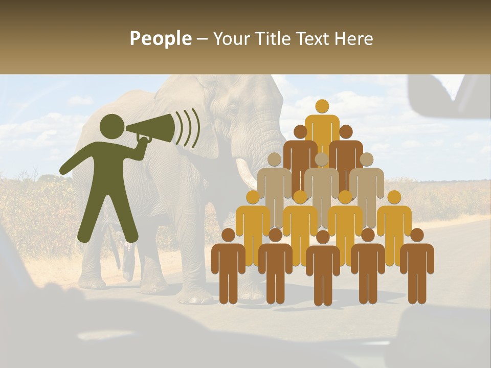A Large Elephant Walking Across A Street Next To A Car PowerPoint Template