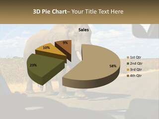A Large Elephant Walking Across A Street Next To A Car PowerPoint Template