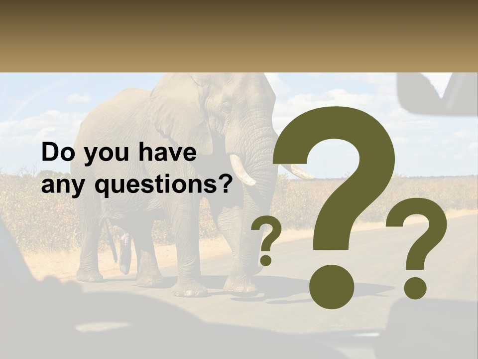 A Large Elephant Walking Across A Street Next To A Car PowerPoint Template