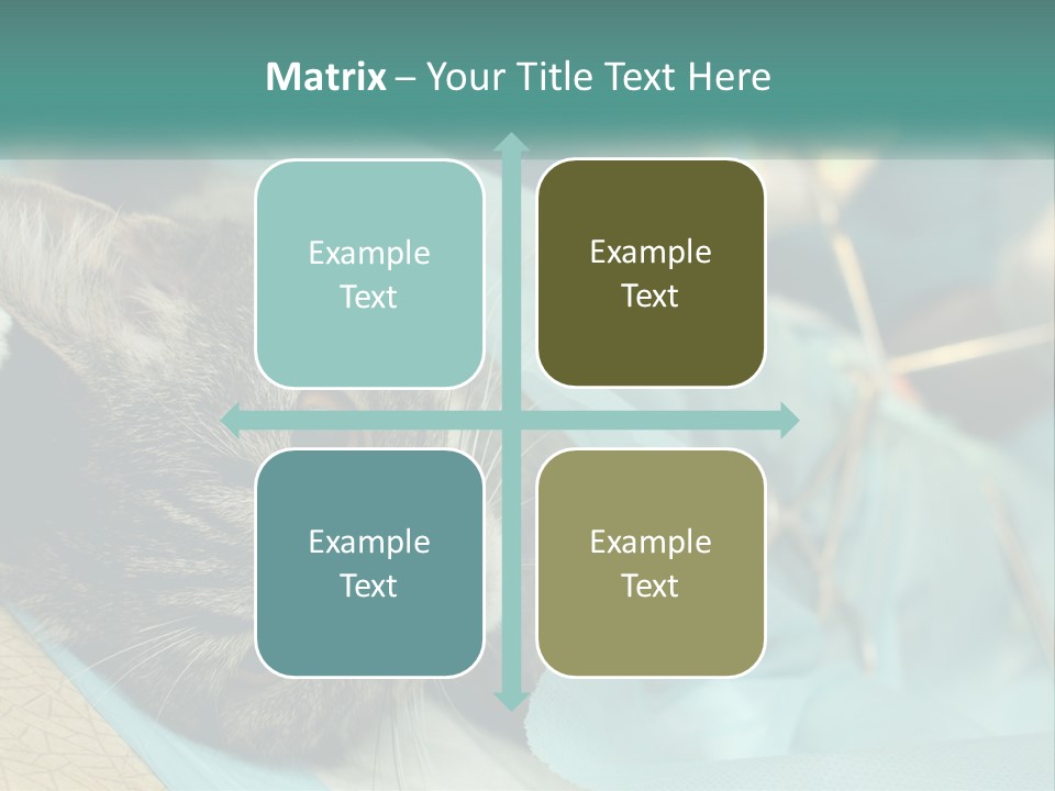 A Cat Laying On Top Of A Blue Bag PowerPoint Template