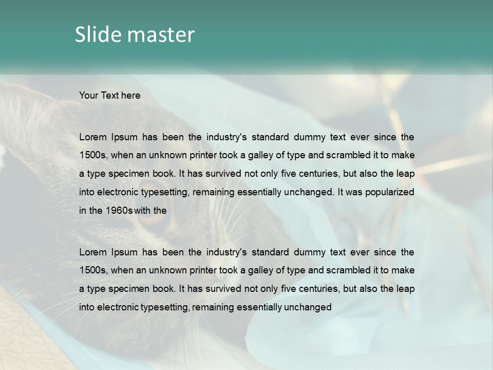 A Cat Laying On Top Of A Blue Bag PowerPoint Template