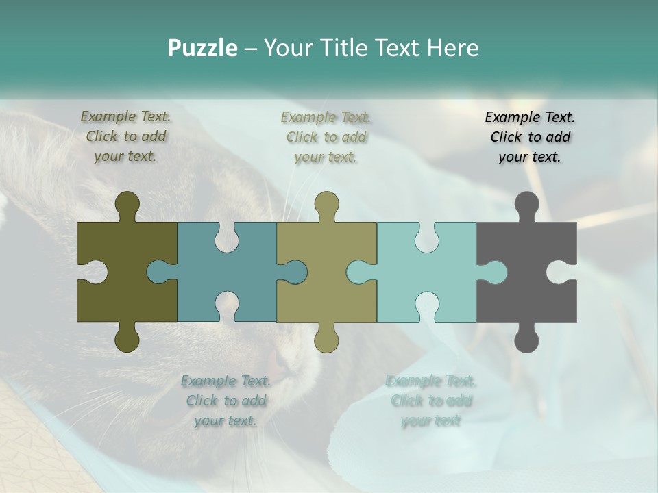 A Cat Laying On Top Of A Blue Bag PowerPoint Template