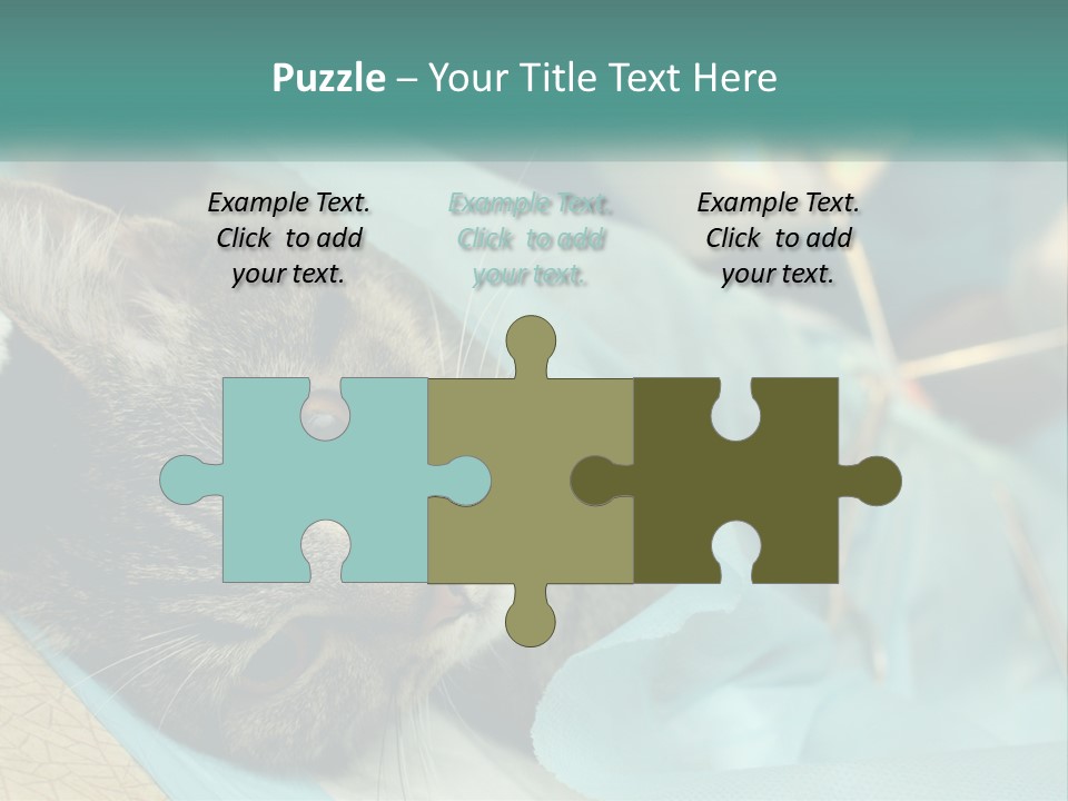 A Cat Laying On Top Of A Blue Bag PowerPoint Template