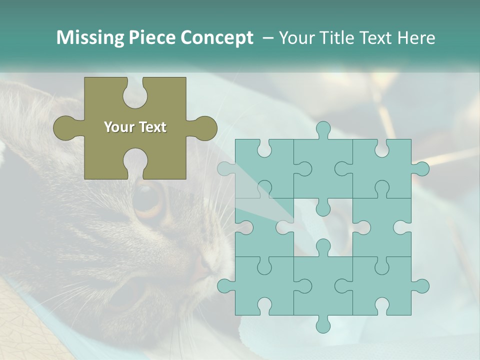 A Cat Laying On Top Of A Blue Bag PowerPoint Template