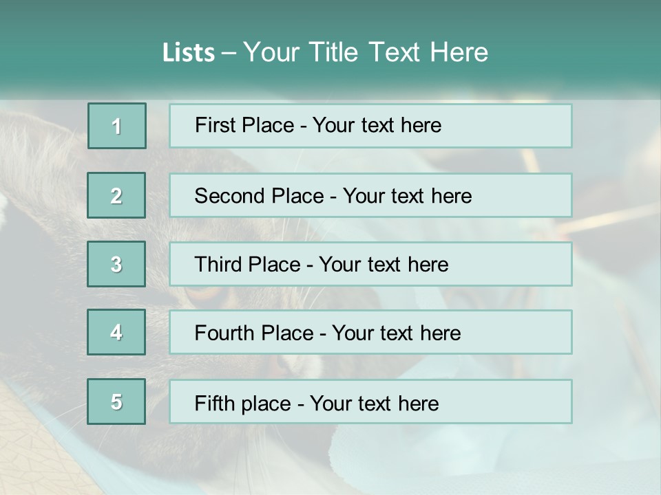 A Cat Laying On Top Of A Blue Bag PowerPoint Template