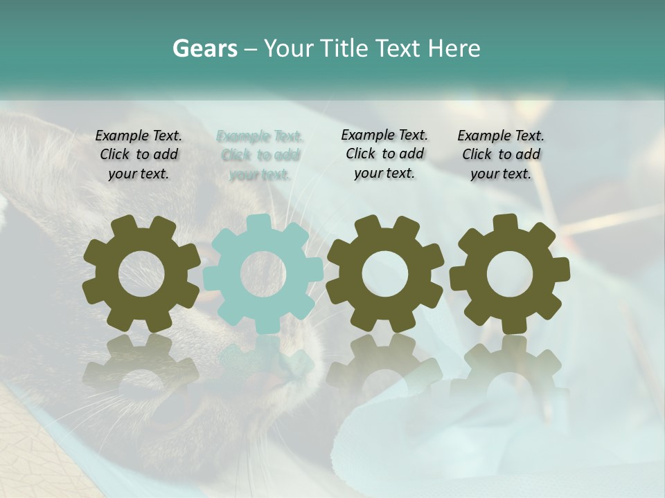 A Cat Laying On Top Of A Blue Bag PowerPoint Template