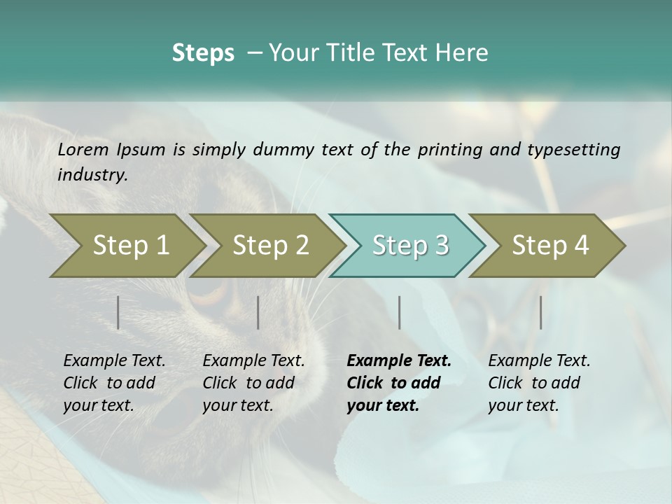 A Cat Laying On Top Of A Blue Bag PowerPoint Template