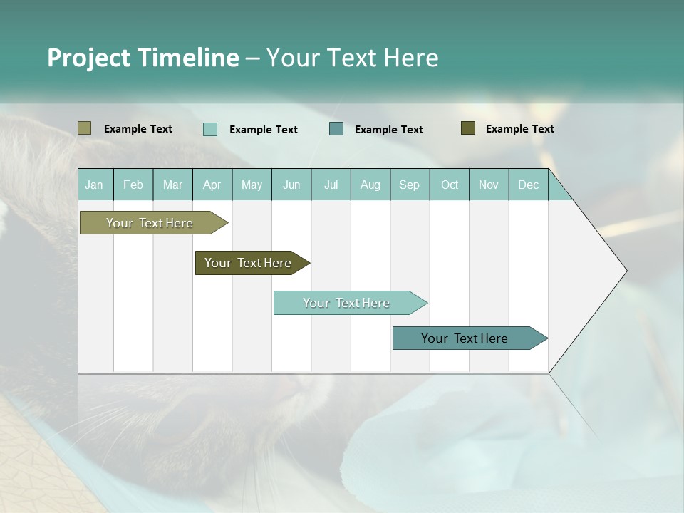 A Cat Laying On Top Of A Blue Bag PowerPoint Template