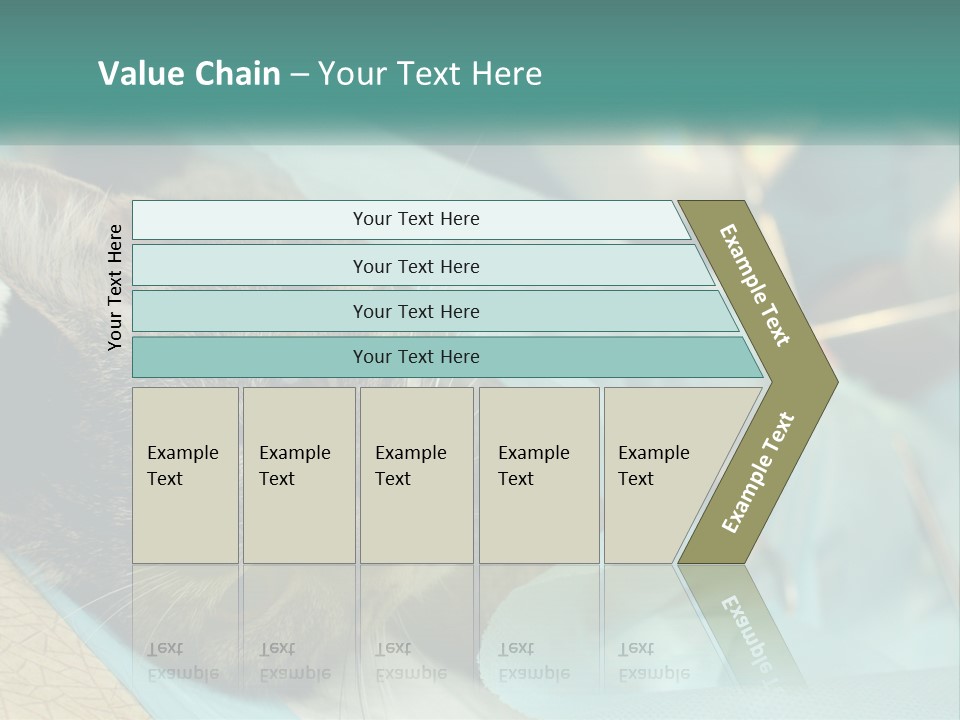 A Cat Laying On Top Of A Blue Bag PowerPoint Template