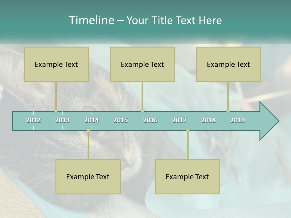 A Cat Laying On Top Of A Blue Bag PowerPoint Template