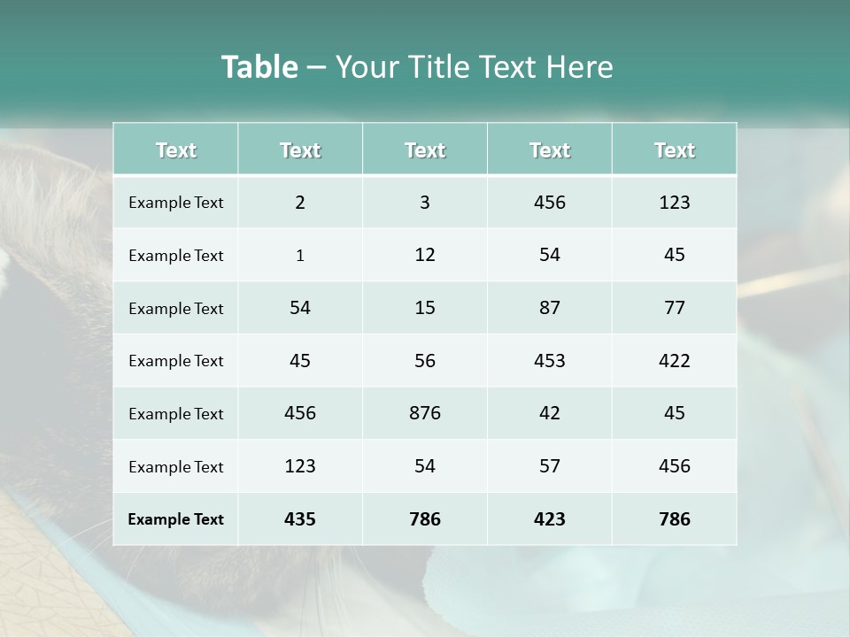 A Cat Laying On Top Of A Blue Bag PowerPoint Template