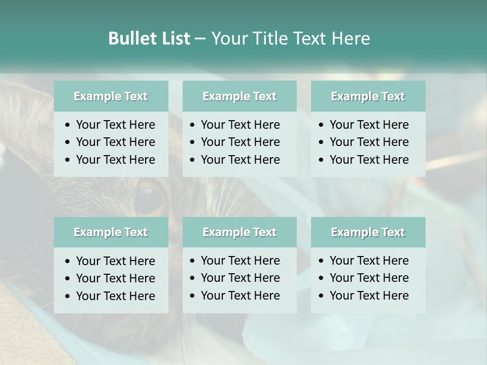 A Cat Laying On Top Of A Blue Bag PowerPoint Template