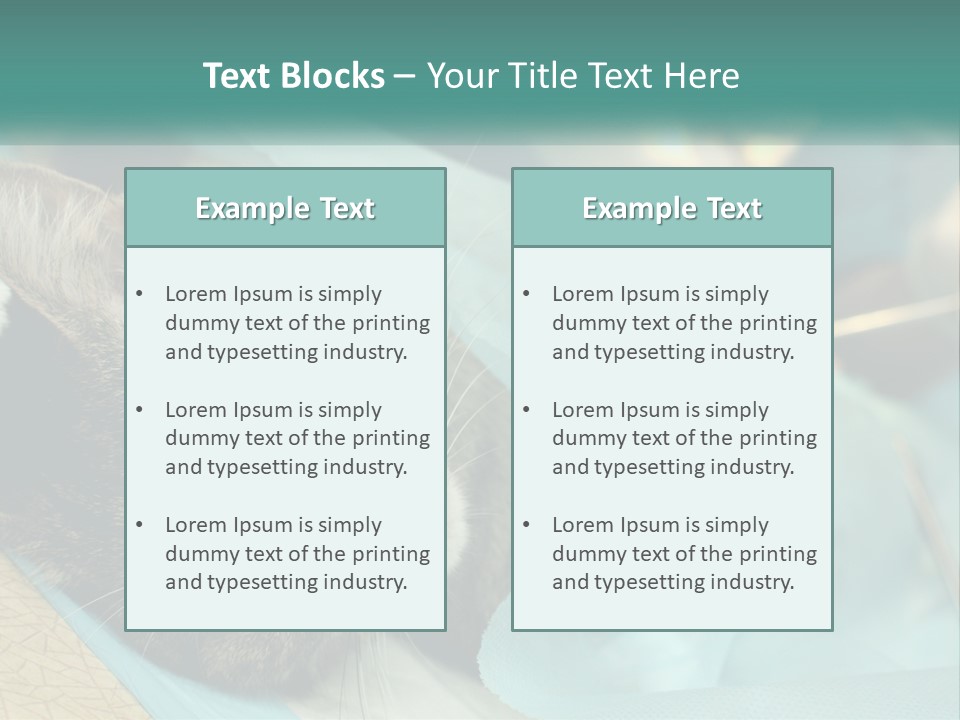 A Cat Laying On Top Of A Blue Bag PowerPoint Template