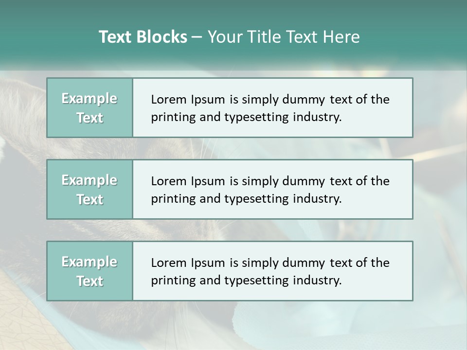 A Cat Laying On Top Of A Blue Bag PowerPoint Template