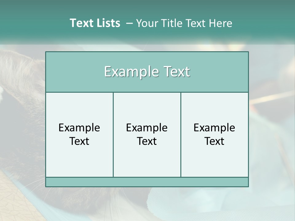 A Cat Laying On Top Of A Blue Bag PowerPoint Template