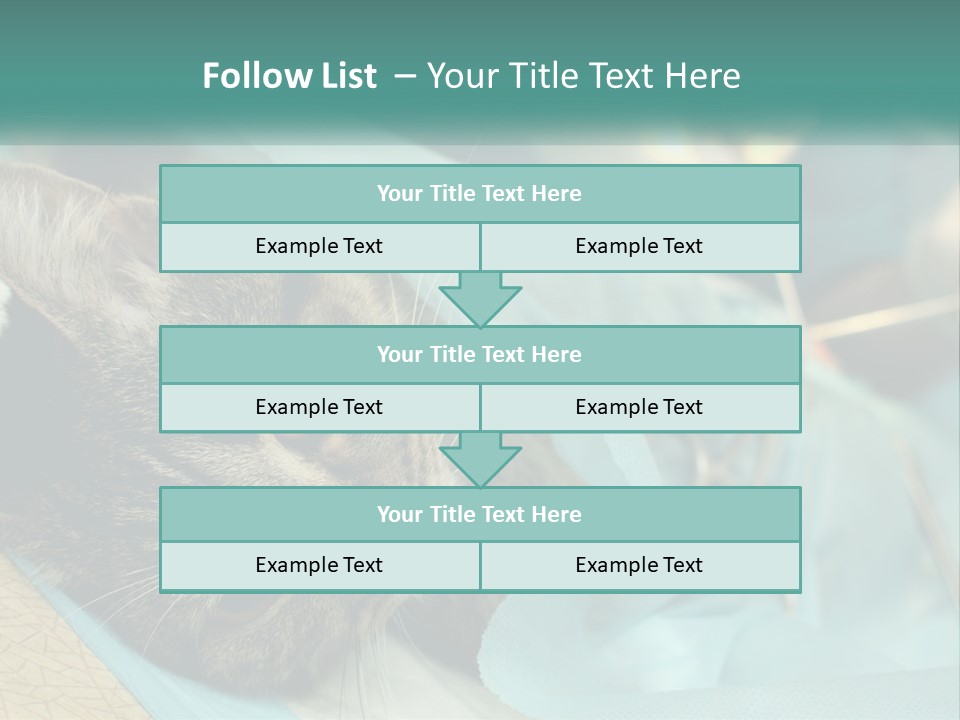 A Cat Laying On Top Of A Blue Bag PowerPoint Template