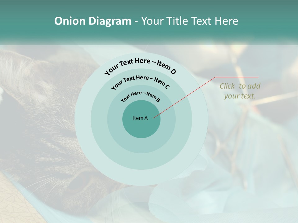 A Cat Laying On Top Of A Blue Bag PowerPoint Template