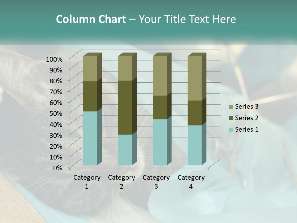 A Cat Laying On Top Of A Blue Bag PowerPoint Template