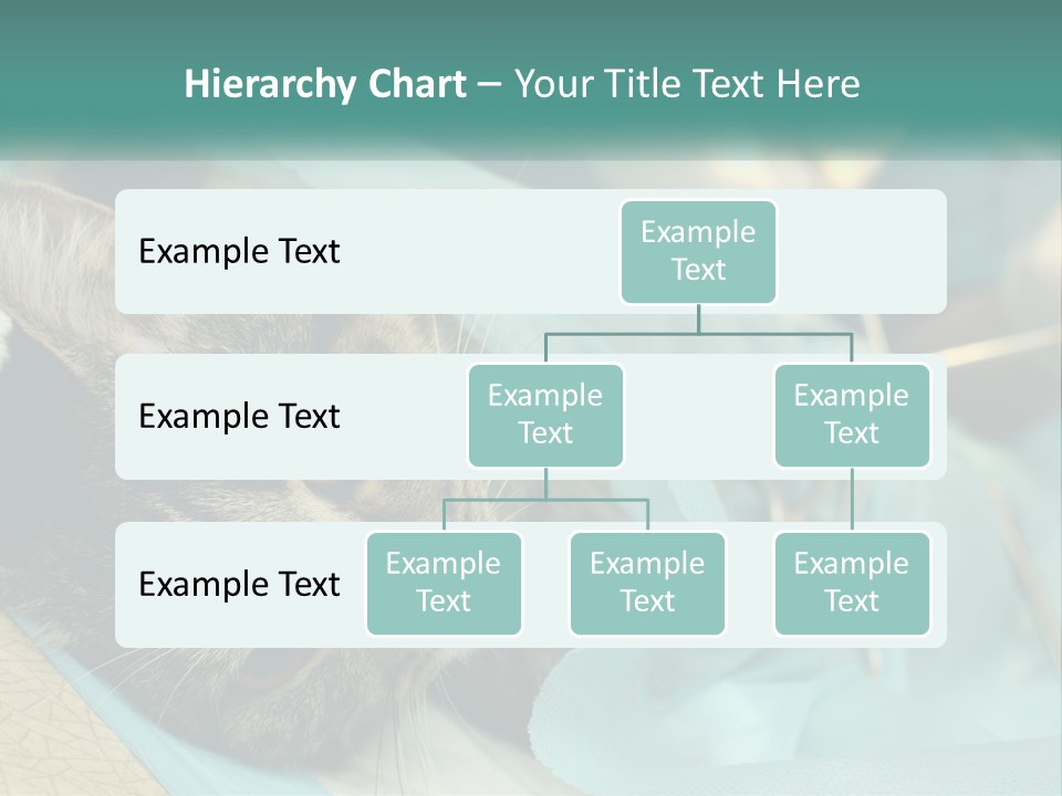 A Cat Laying On Top Of A Blue Bag PowerPoint Template