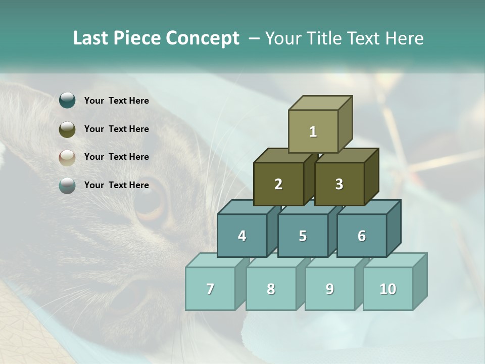 A Cat Laying On Top Of A Blue Bag PowerPoint Template