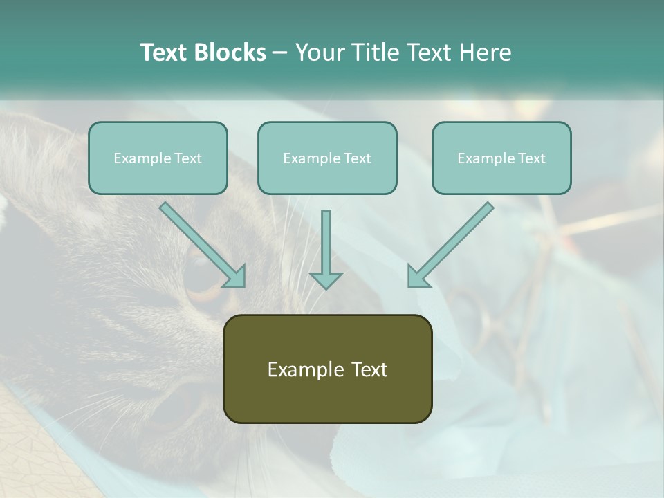 A Cat Laying On Top Of A Blue Bag PowerPoint Template