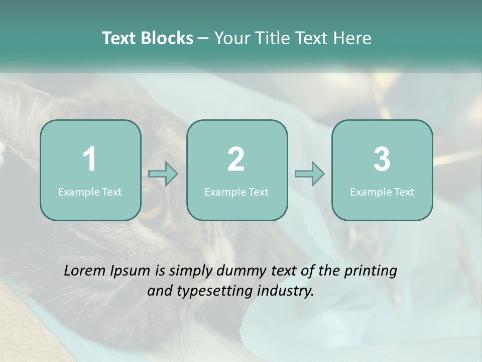 A Cat Laying On Top Of A Blue Bag PowerPoint Template