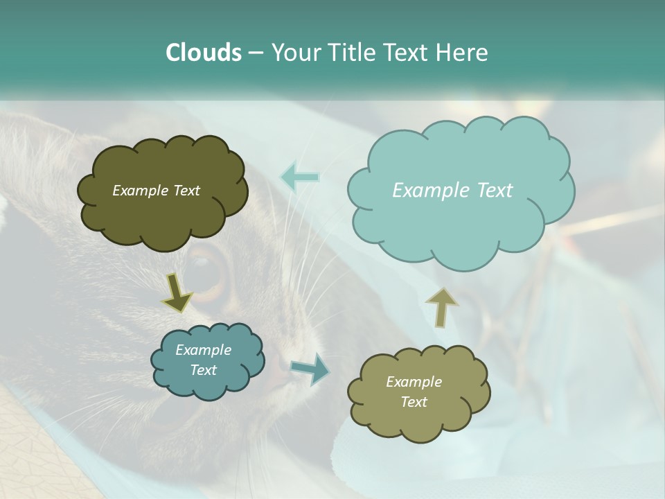 A Cat Laying On Top Of A Blue Bag PowerPoint Template