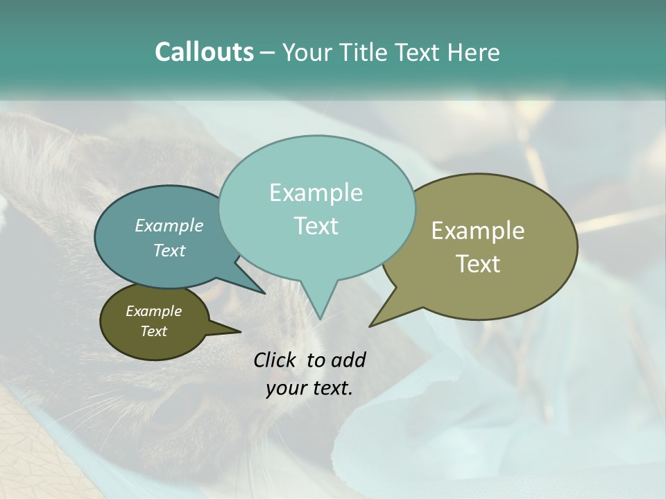 A Cat Laying On Top Of A Blue Bag PowerPoint Template