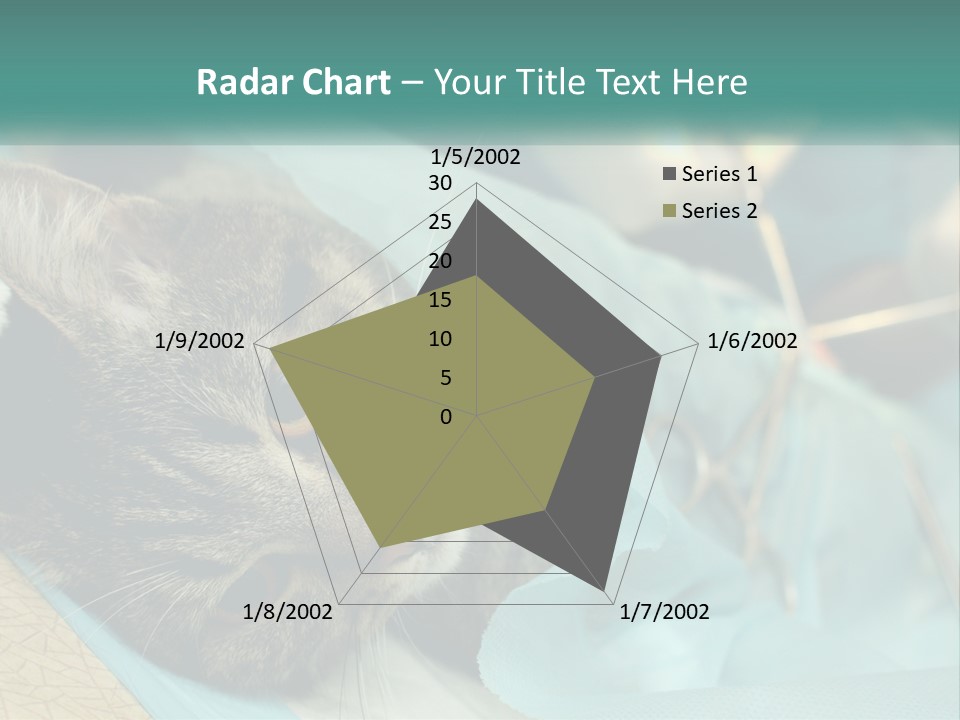 A Cat Laying On Top Of A Blue Bag PowerPoint Template